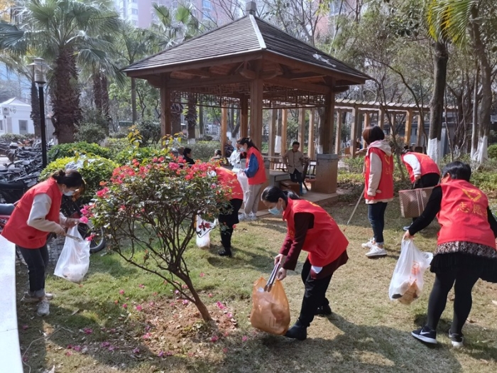 志愿者们拾捡绿植带垃圾.jpg