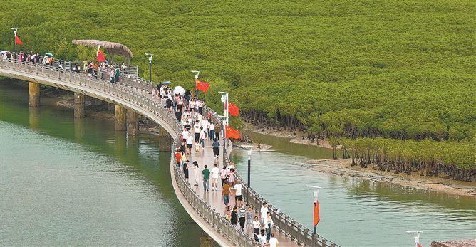 国庆假期厦门文旅市场持续“圈粉”