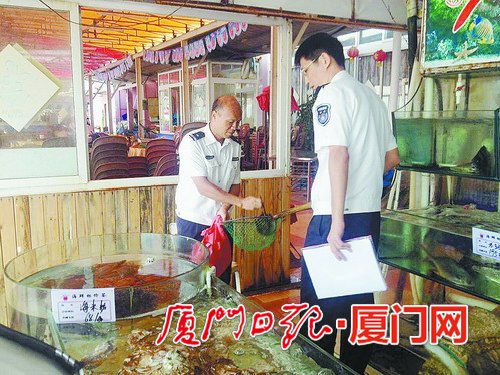 曾厝垵海鲜大排档_8090怀旧餐厅--曾厝垵一家不错的海鲜大排档