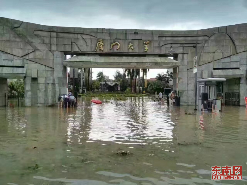 台风"莫兰蒂"在厦门肆虐 道路被树阻断房屋受损