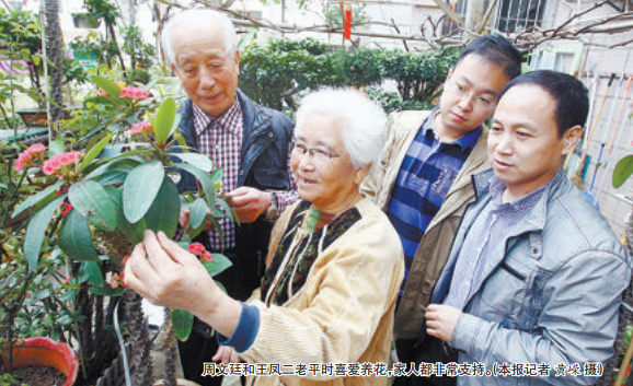 厦门老夫妻巧手打扮 小区空地变乐园