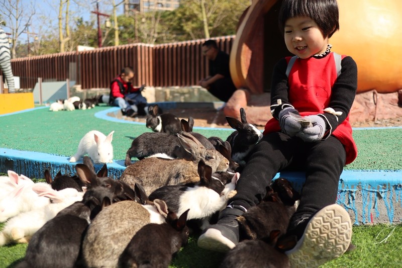 小朋友与小动物亲密互动-许晓霞摄.JPG