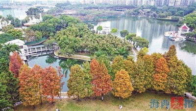 9f090692cde8e27fb23159d2e69e6bc3_2710266_tpzz_1640610969356_b.jpg 9f090692cde8e27fb23159d2e69e6bc3_2710266_tpzz_1640610969356_b.jpg