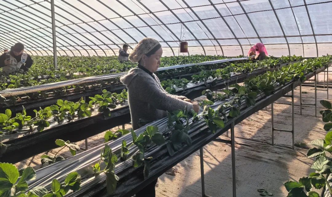 a5437e414fc7570ad9ee163e77334fe0_640_wx_fmt=jpeg&wxfrom=5&wx_lazy=1&wx_co=1.jpg a5437e414fc7570ad9ee163e77334fe0_640_wx_fmt=jpeg&wxfrom=5&wx_lazy=1&wx_co=1.jpg