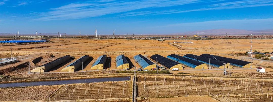 f7868f248164644e6098606fc25d5990_640_wx_fmt=jpeg&wxfrom=5&wx_lazy=1&wx_co=1.jpg f7868f248164644e6098606fc25d5990_640_wx_fmt=jpeg&wxfrom=5&wx_lazy=1&wx_co=1.jpg