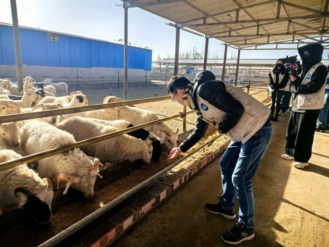 cddb4e2cd45513acc081d89a7e7d0400_640_wx_fmt=jpeg&wxfrom=5&wx_lazy=1&wx_co=1.jpg cddb4e2cd45513acc081d89a7e7d0400_640_wx_fmt=jpeg&wxfrom=5&wx_lazy=1&wx_co=1.jpg