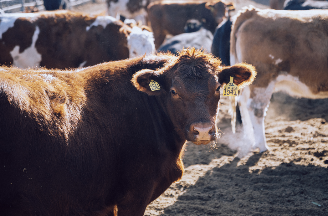 88f82c34a140ab88a53a2c0ebb0dff4f_640_wx_fmt=png&wxfrom=5&wx_lazy=1&wx_co=1.png 88f82c34a140ab88a53a2c0ebb0dff4f_640_wx_fmt=png&wxfrom=5&wx_lazy=1&wx_co=1.png