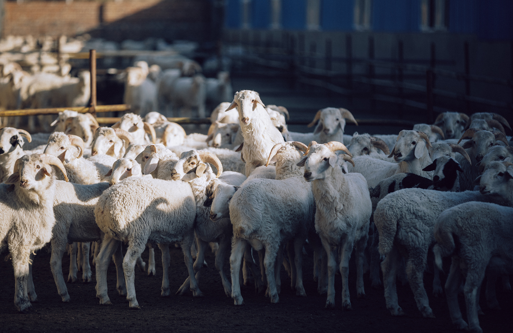 ed16331ff84d1b7c33a5a0c18aae52f2_640_wx_fmt=png&wxfrom=5&wx_lazy=1&wx_co=1.png ed16331ff84d1b7c33a5a0c18aae52f2_640_wx_fmt=png&wxfrom=5&wx_lazy=1&wx_co=1.png