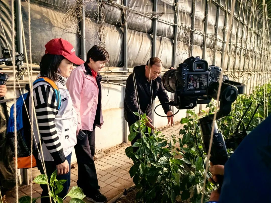 2e3287f689025c24748b7205142567a0_640_wx_fmt=jpeg&wxfrom=5&wx_lazy=1&wx_co=1.jpg 2e3287f689025c24748b7205142567a0_640_wx_fmt=jpeg&wxfrom=5&wx_lazy=1&wx_co=1.jpg