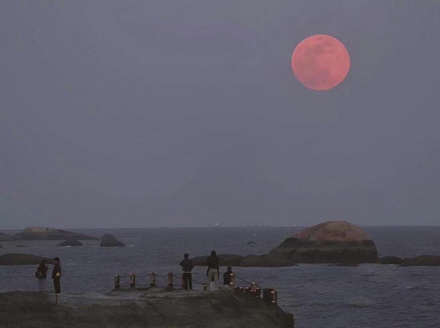 2026���׸���������������������ҹ��